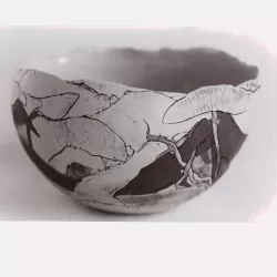 bowl